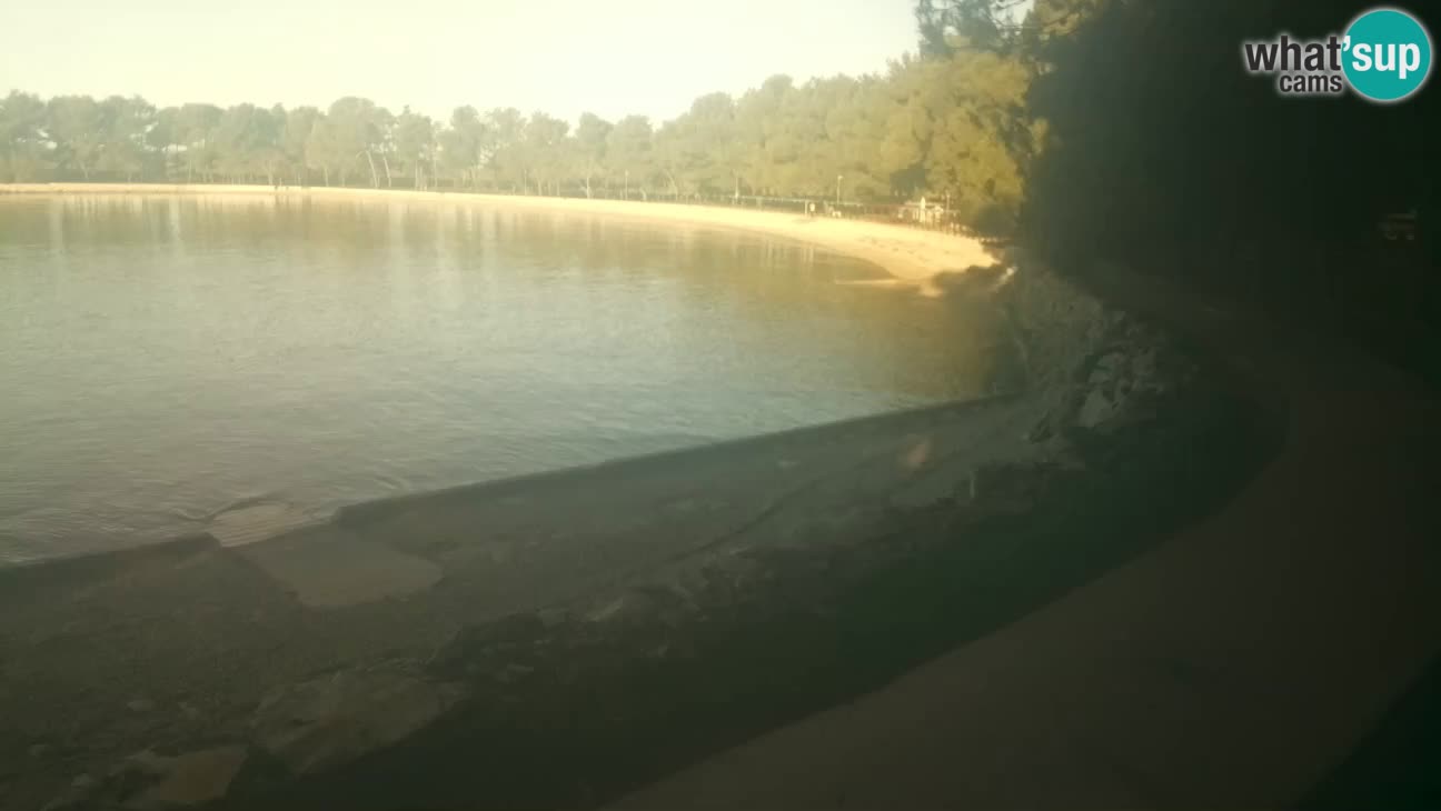 Novigrad live cam – Karpinjan beach