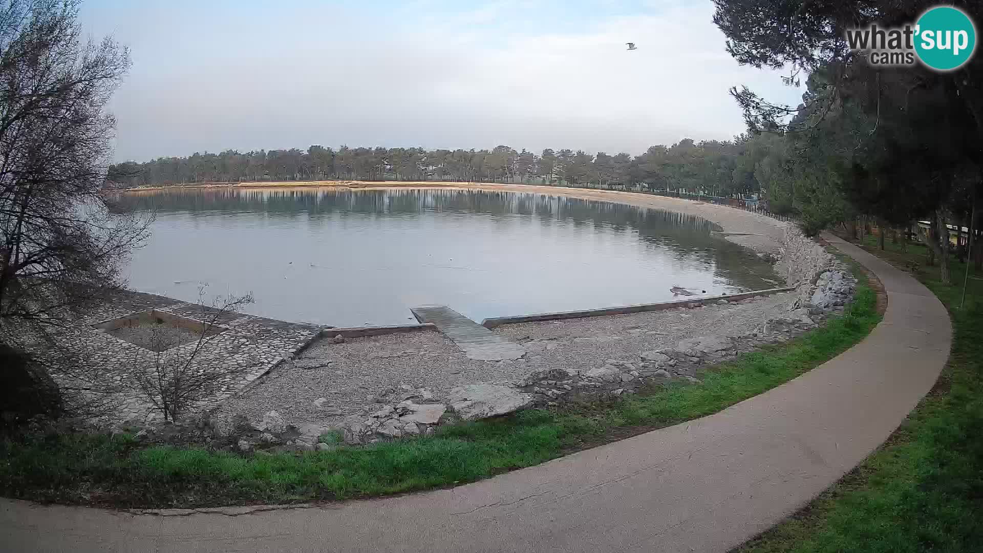 Novigrad – Playa Karpinjan