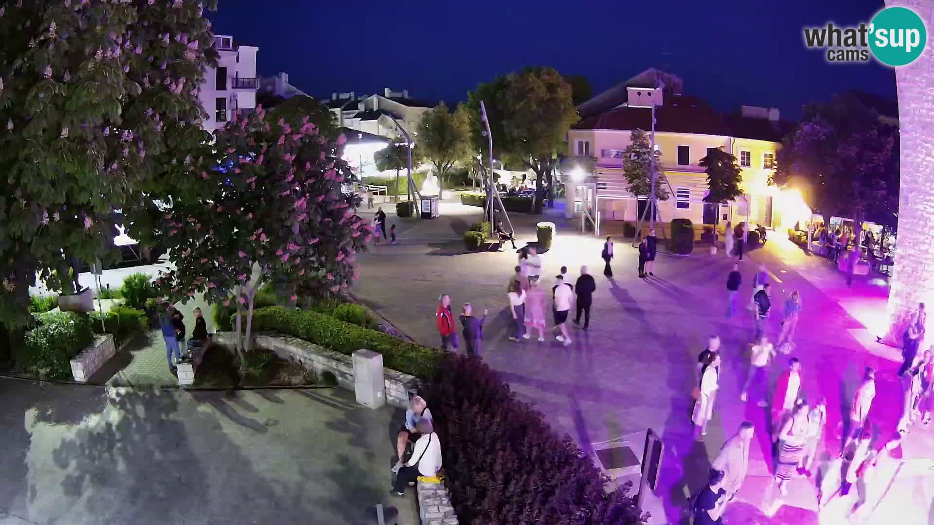 Webcam – Novi Vinodolski – Cours Hrvatskih Branitelja