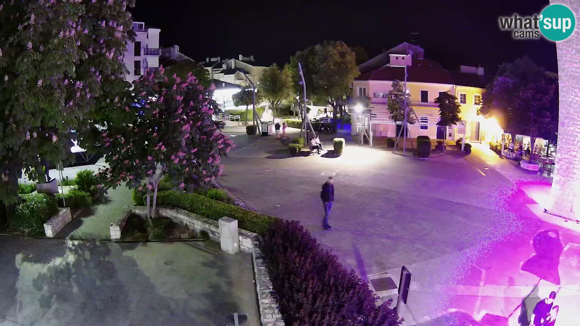 Webcam – Corso Hrvatskih Branitelja