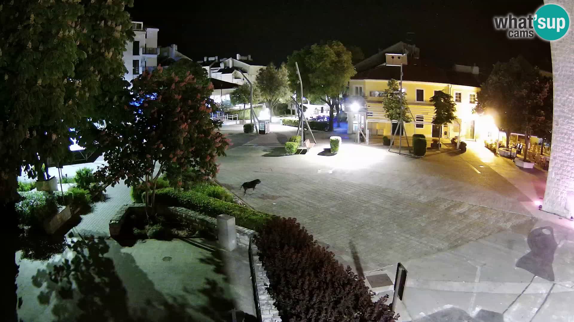 Webcam live – Novi Vinodolski – Main street Hrvatskih Branitelja