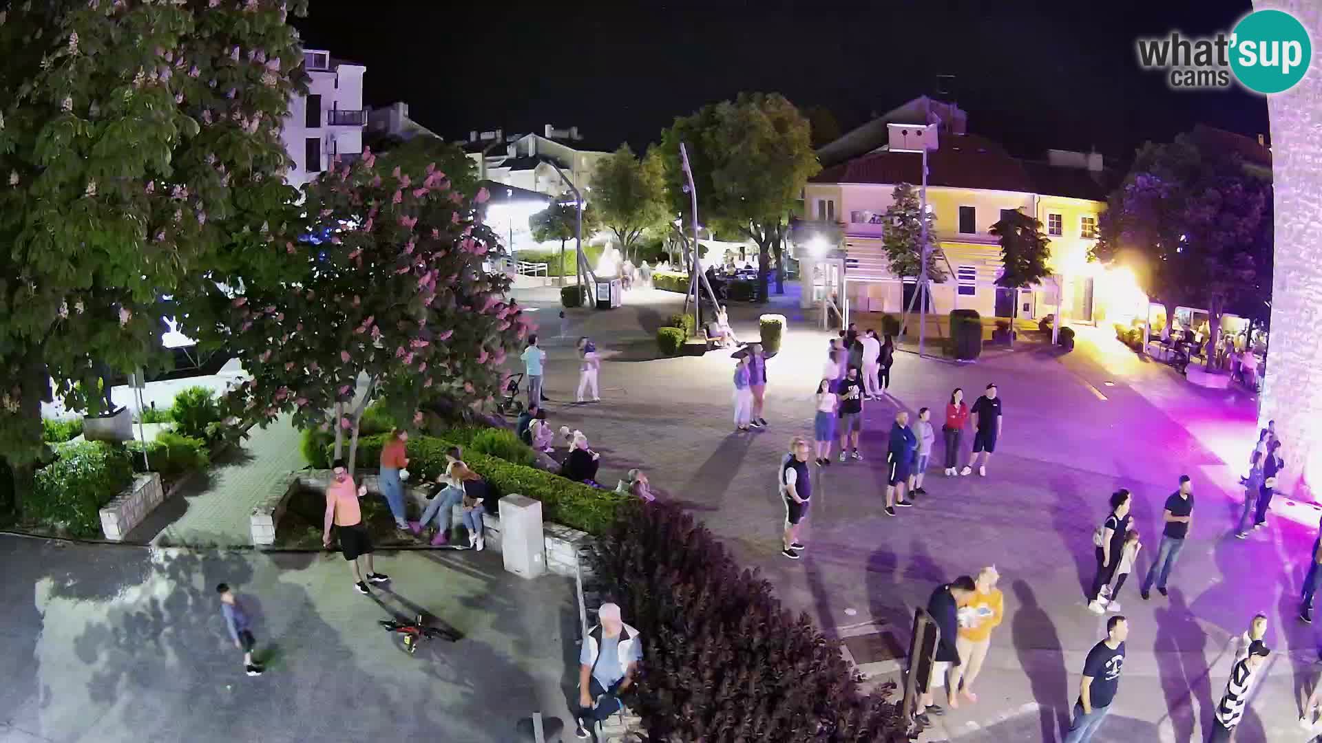 Webcam – Novi Vinodolski – Cours Hrvatskih Branitelja
