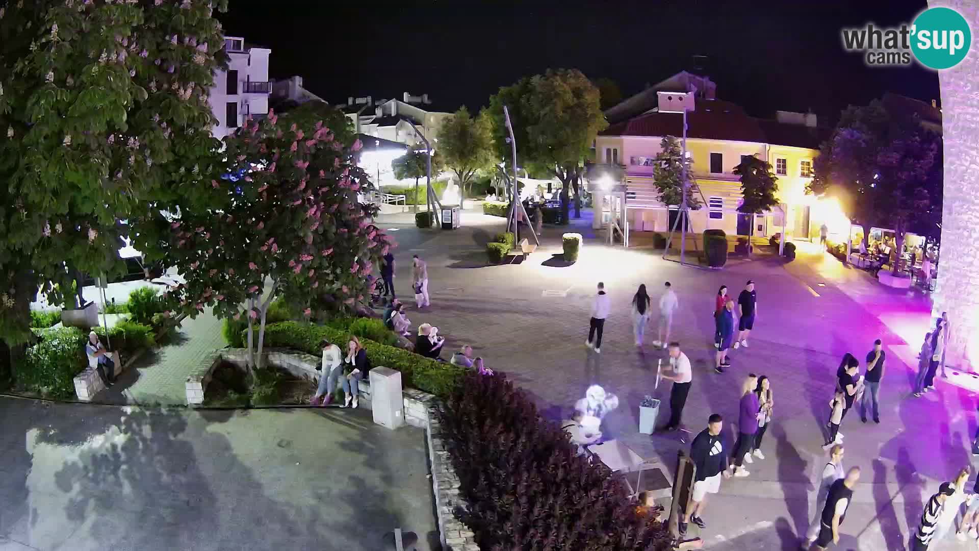 Webcam – Novi Vinodolski – Cours Hrvatskih Branitelja