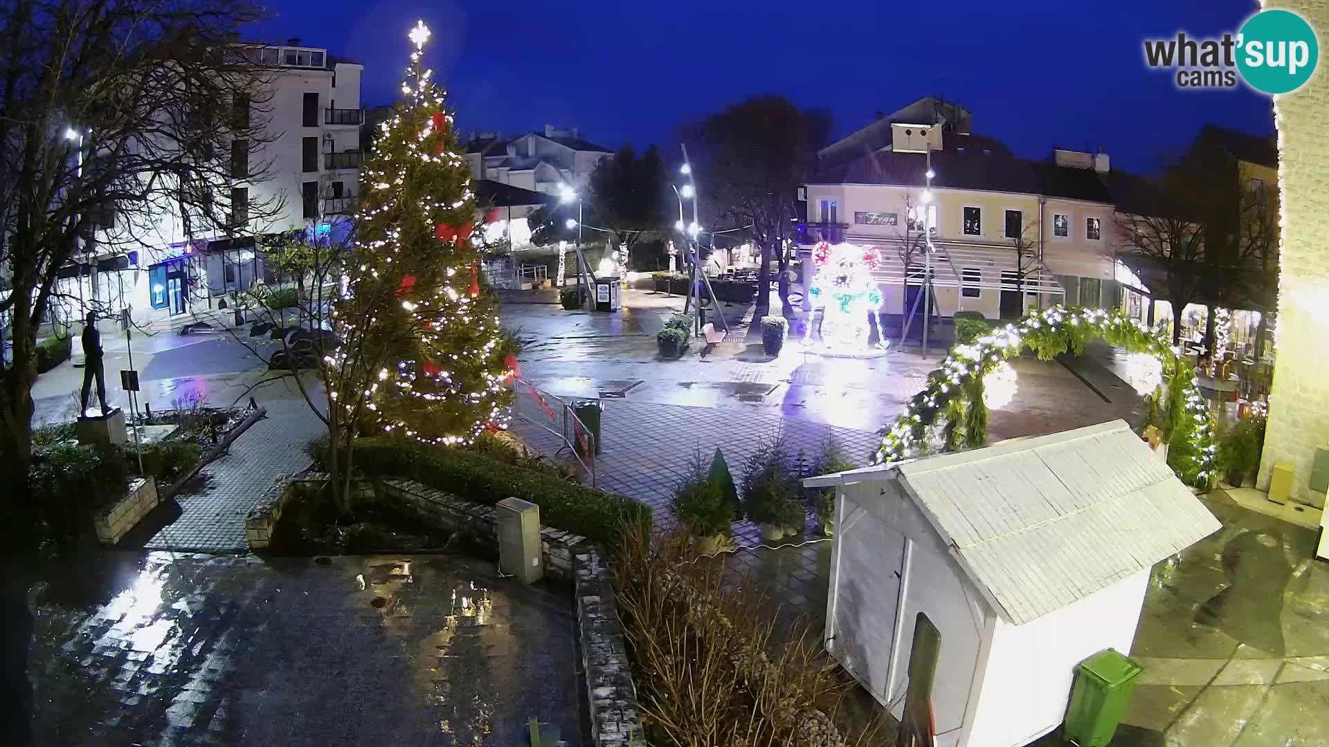 Kamera na żywo - Novi Vinodolski