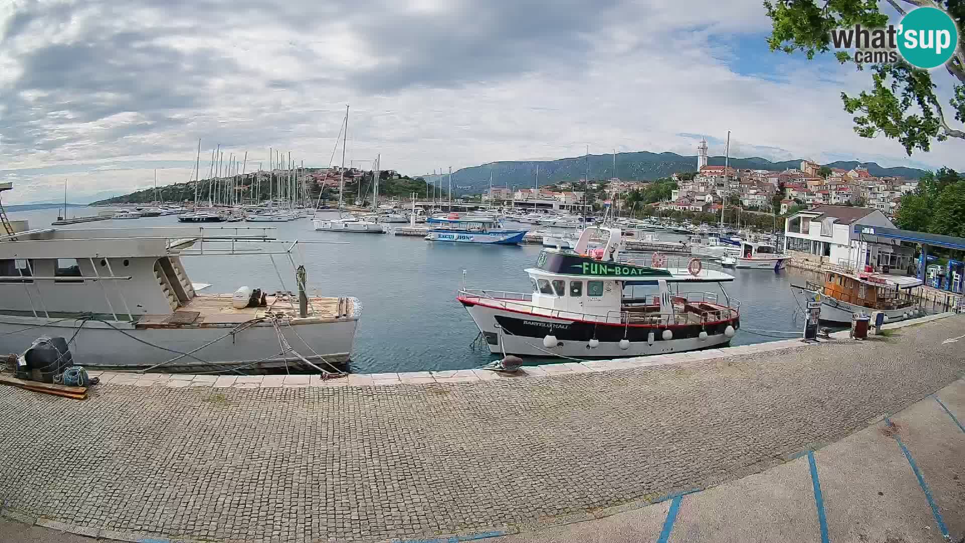 Webcam live – Novi Vinodolski harbour