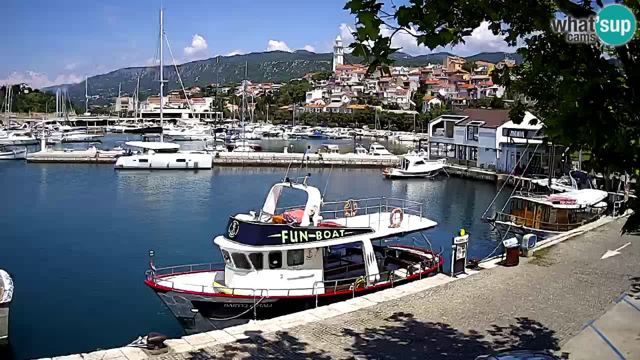 Webcam live – Novi Vinodolski harbour