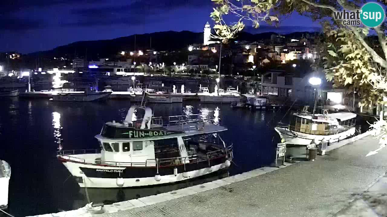 Webcam live – Novi Vinodolski harbour