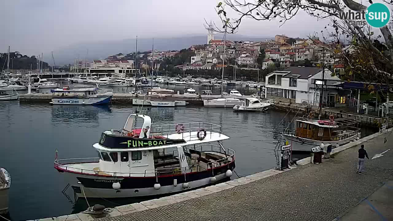 Webcam live – Novi Vinodolski harbour