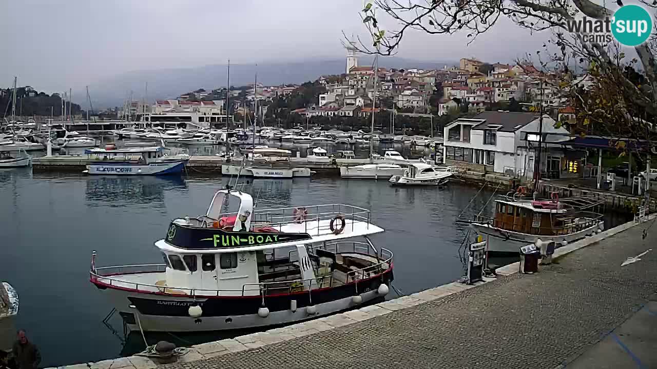 Webcam live – Novi Vinodolski harbour