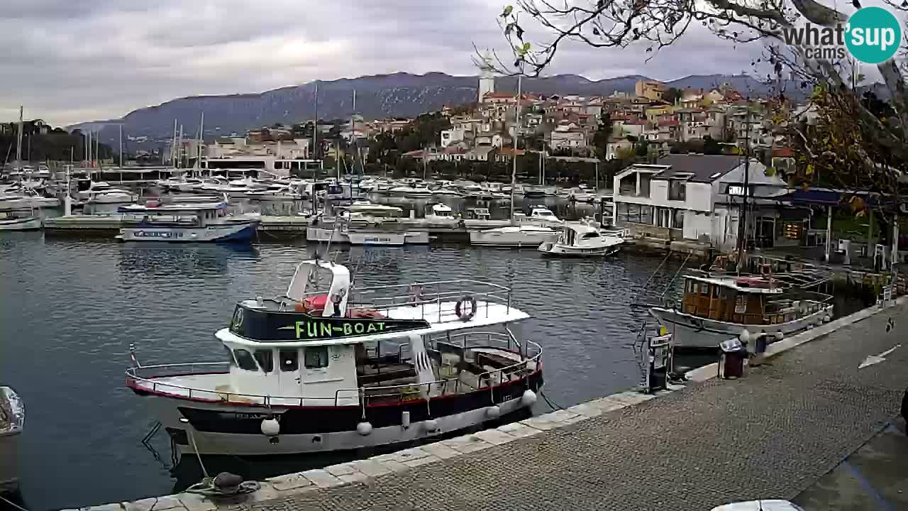 Webcam live – Novi Vinodolski harbour