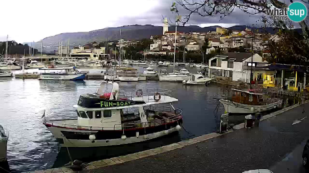 Webcam live – Novi Vinodolski harbour