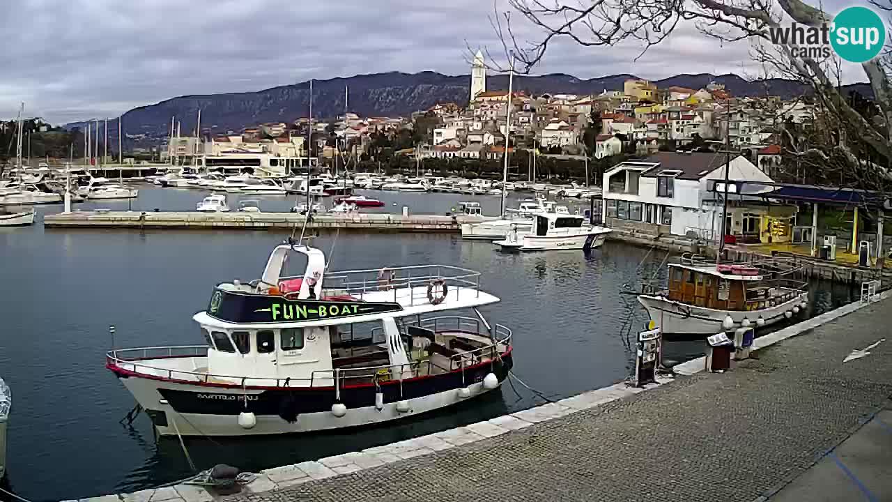 Webcam live – Novi Vinodolski harbour