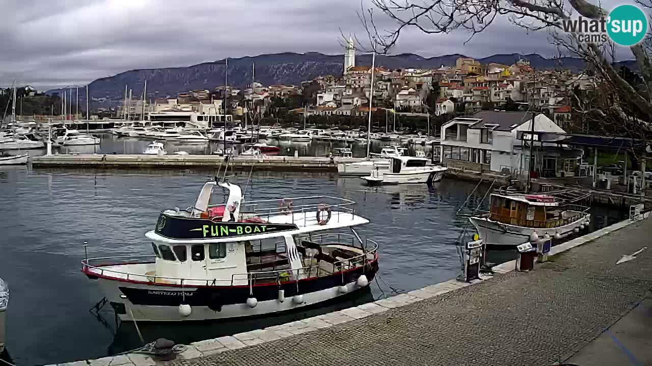 Webcam live – Novi Vinodolski harbour