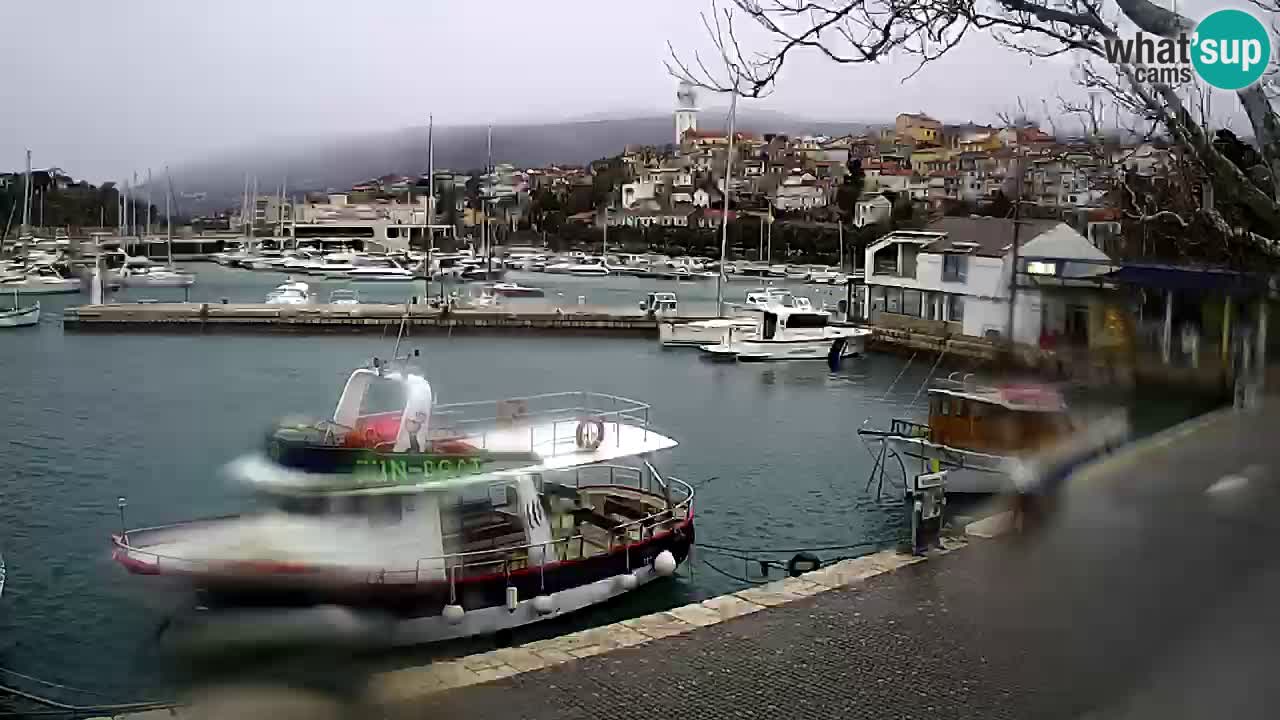 Webcam – Novi Vinodolski port