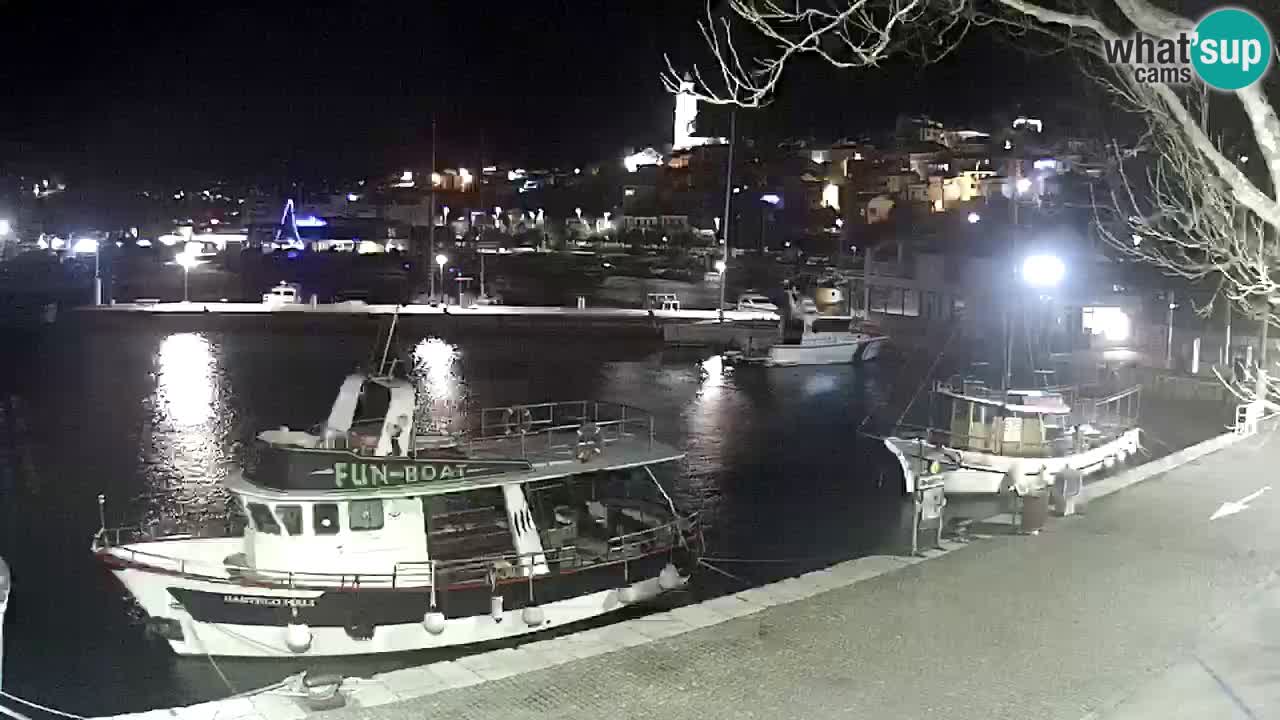 Webcam live – Novi Vinodolski harbour