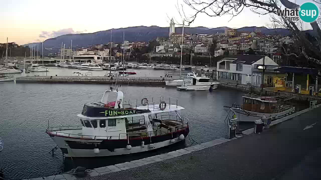 Webcam live – Novi Vinodolski harbour