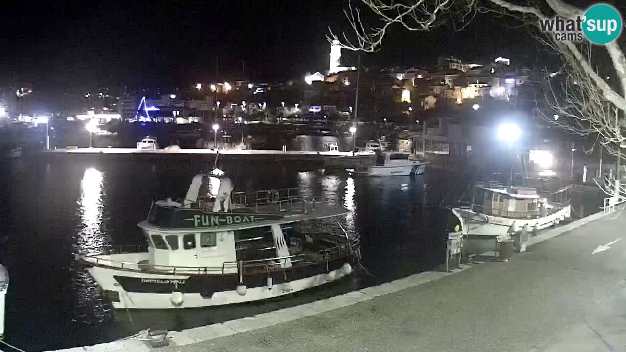 Webcam live – Novi Vinodolski harbour