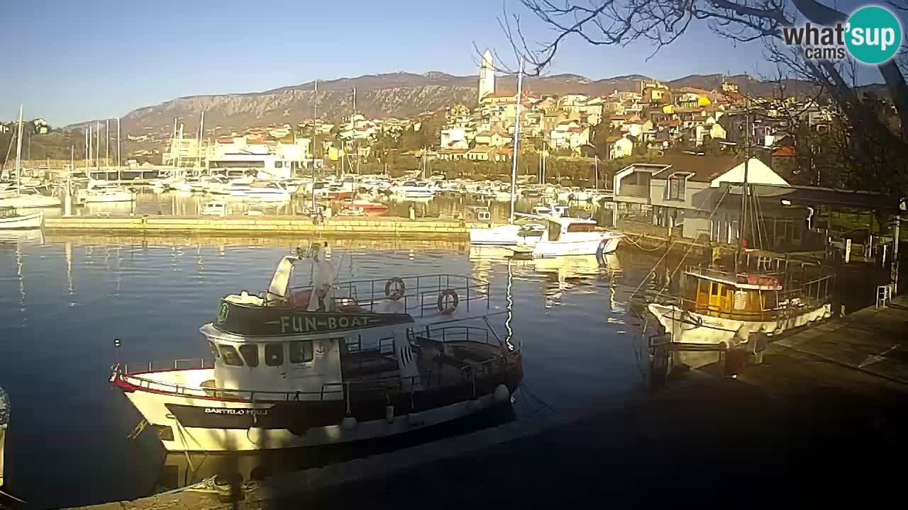 Webcam live – Novi Vinodolski harbour