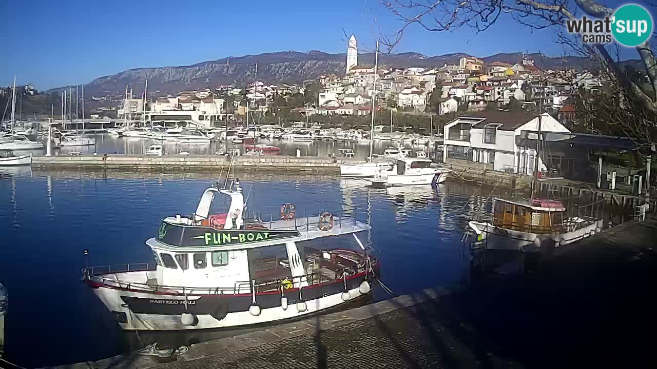 Webcam – Novi Vinodolski port