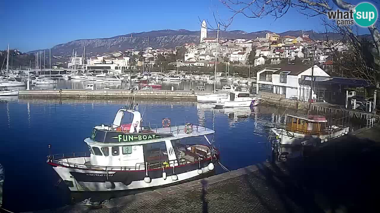 Webcam – Novi Vinodolski port