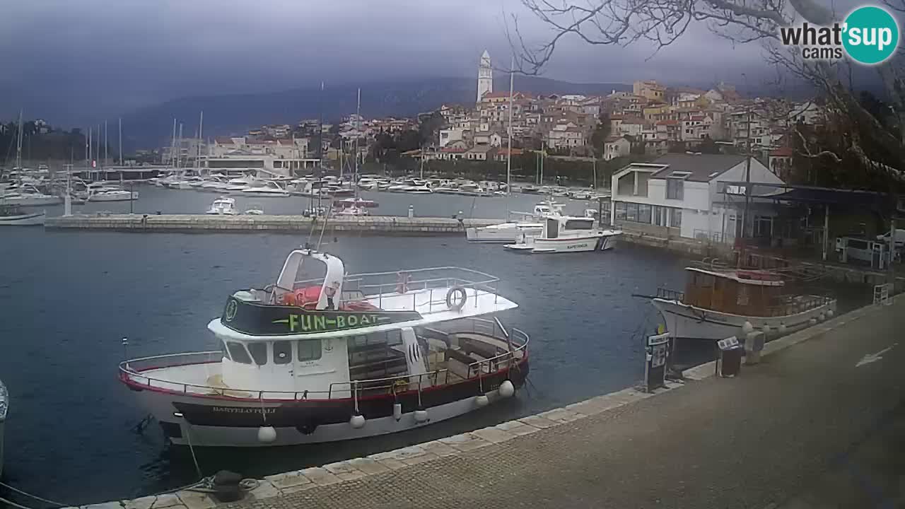 Webcam live – Novi Vinodolski harbour