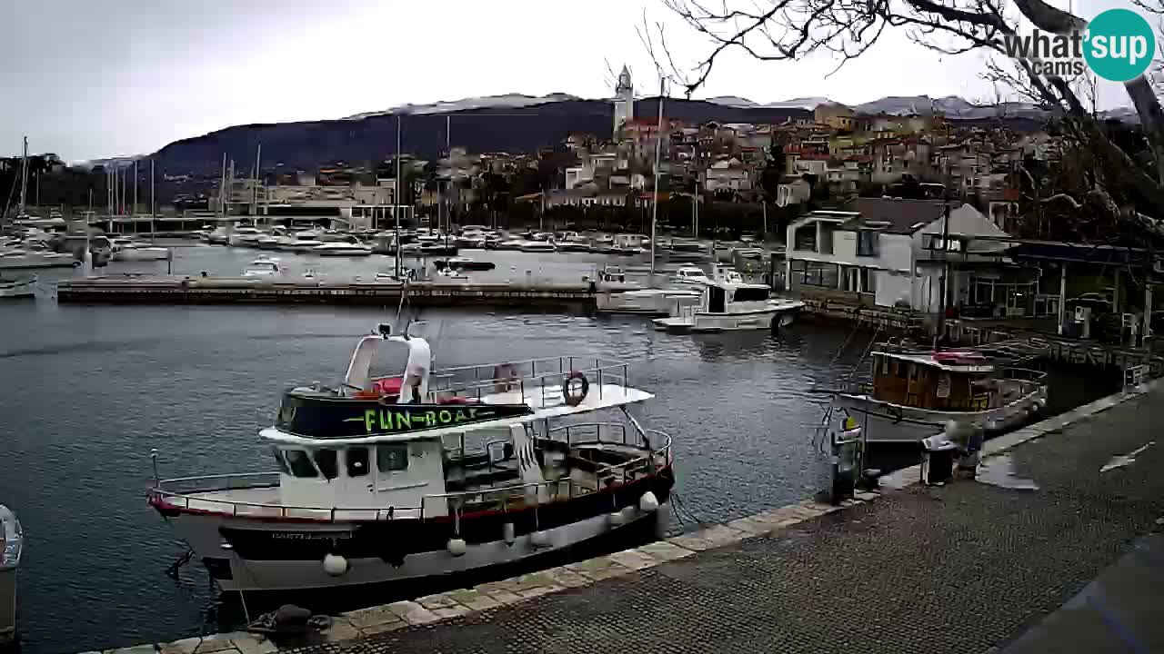 Webcam live – Novi Vinodolski harbour