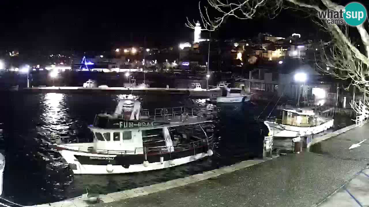 Webcam live – Novi Vinodolski harbour