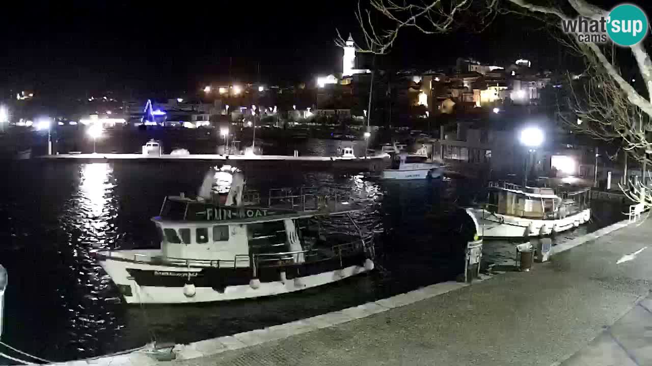 Webcam live – Novi Vinodolski harbour