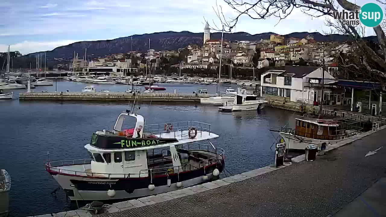 Webcam live – Novi Vinodolski harbour