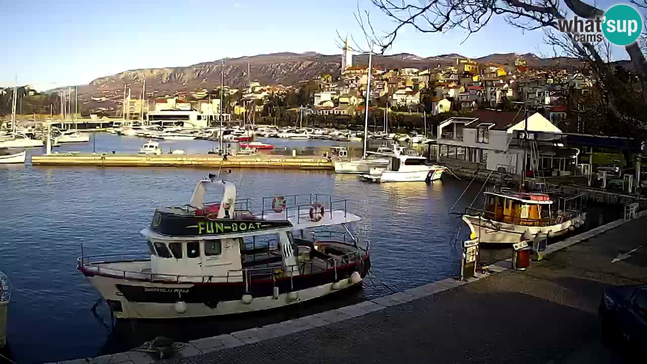 Webcam live – Novi Vinodolski harbour