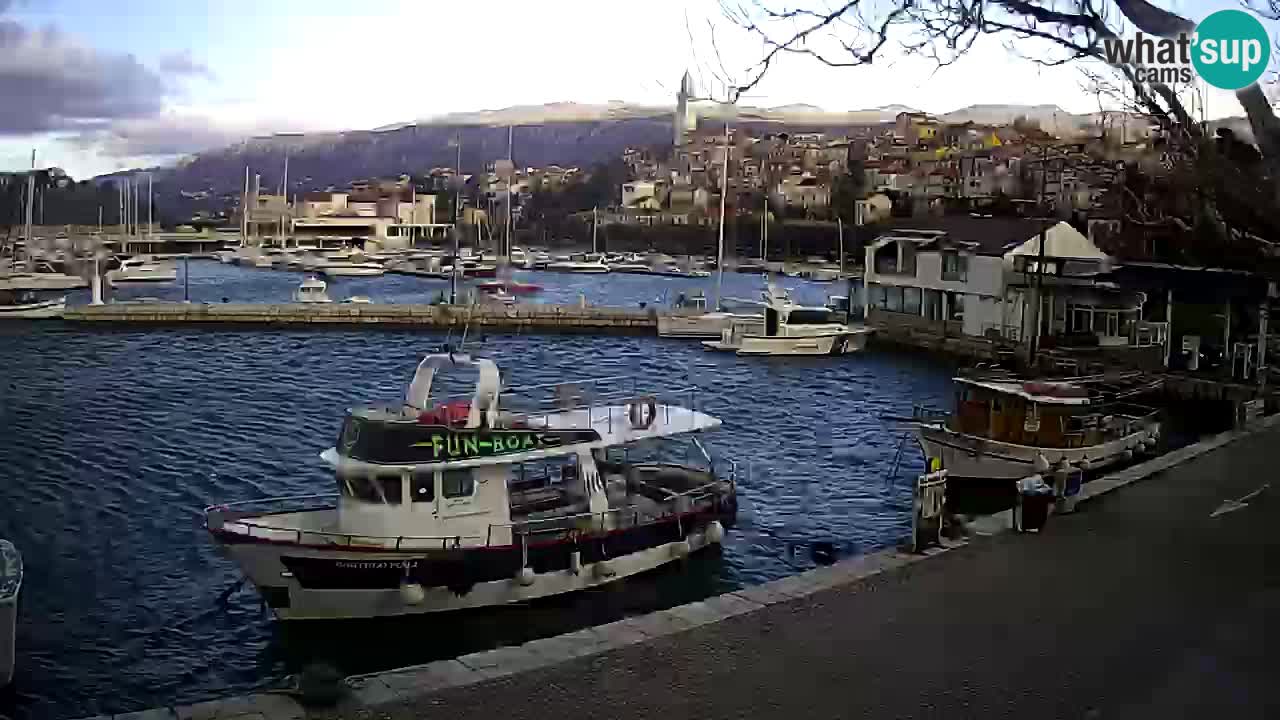 Webcam live – Novi Vinodolski harbour