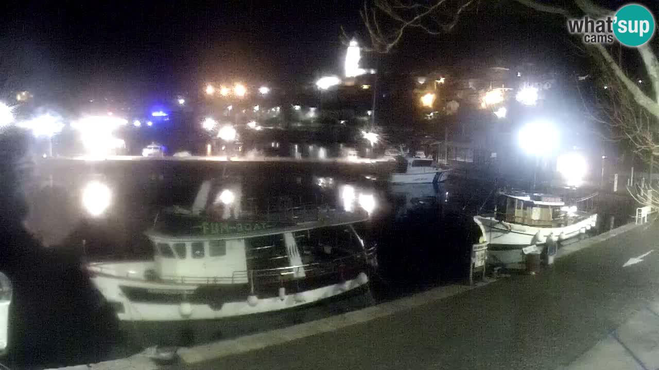 Webcam live – Novi Vinodolski harbour