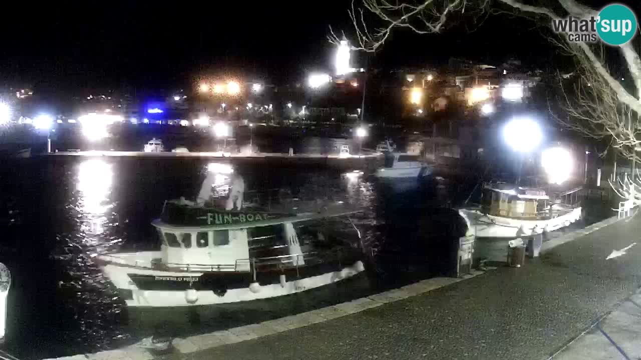 Webcam live – Novi Vinodolski harbour