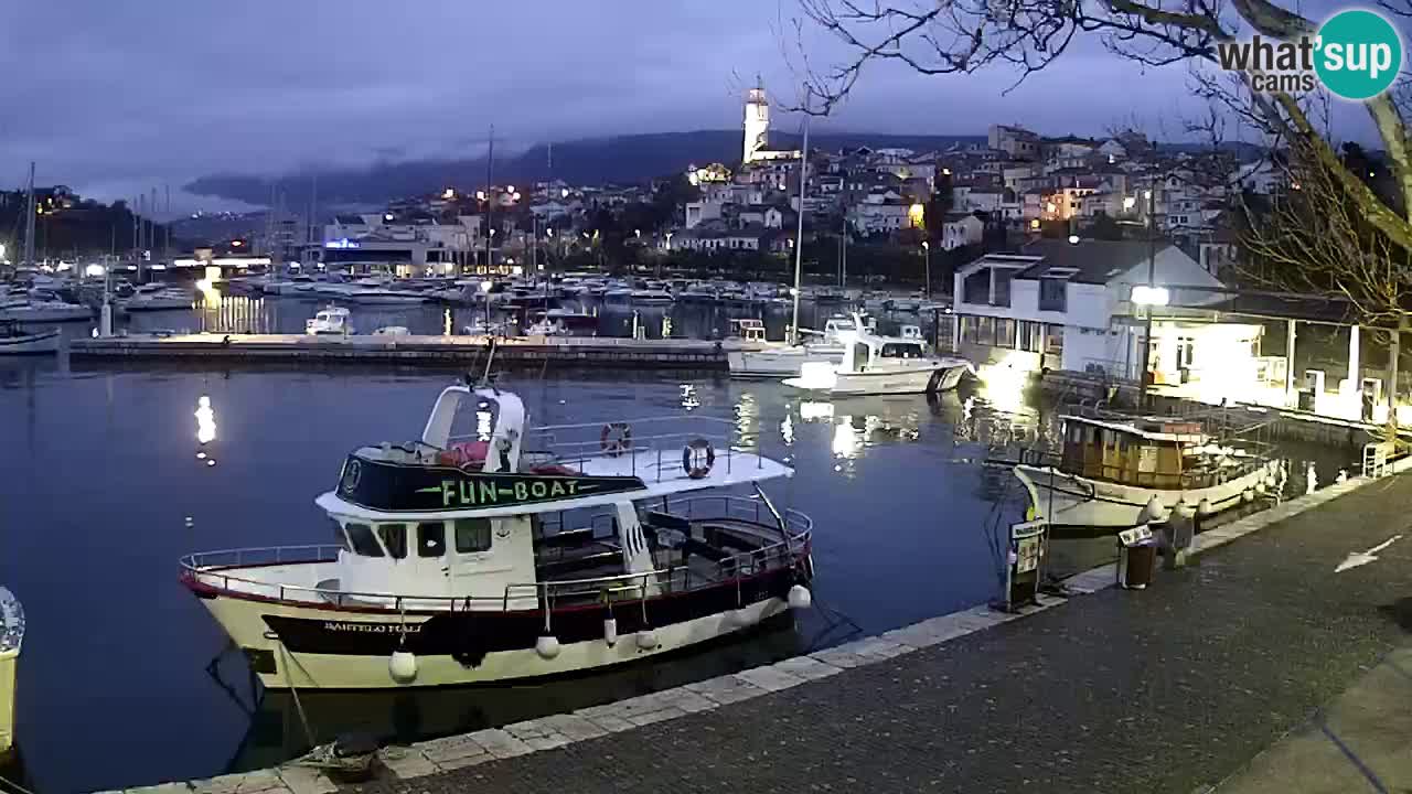 Webcam live – Novi Vinodolski harbour