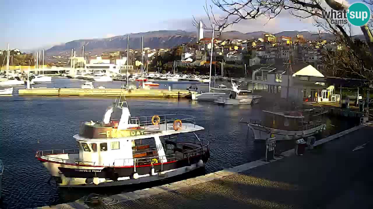 Webcam live – Novi Vinodolski harbour