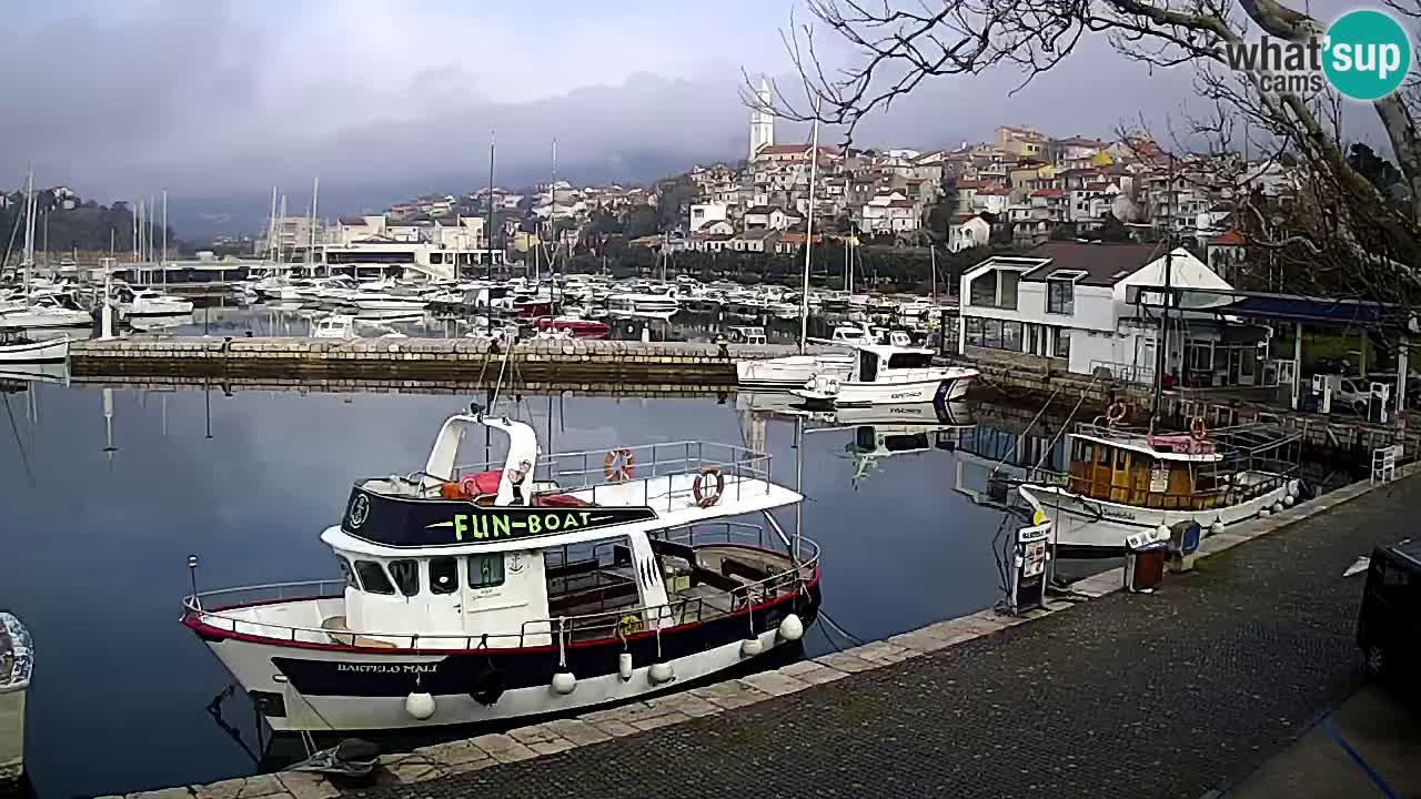 Webcam – Novi Vinodolski port