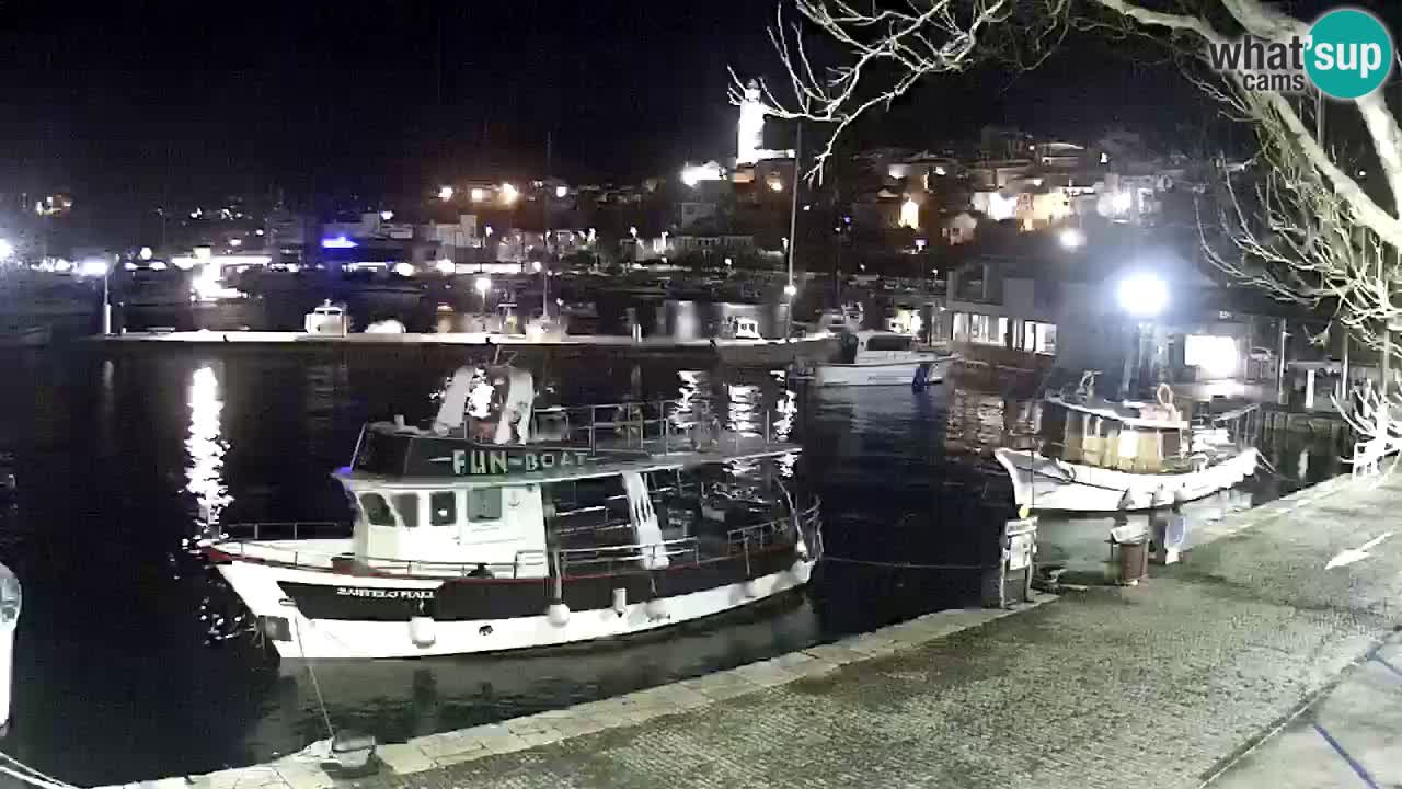 Webcam live – Novi Vinodolski harbour