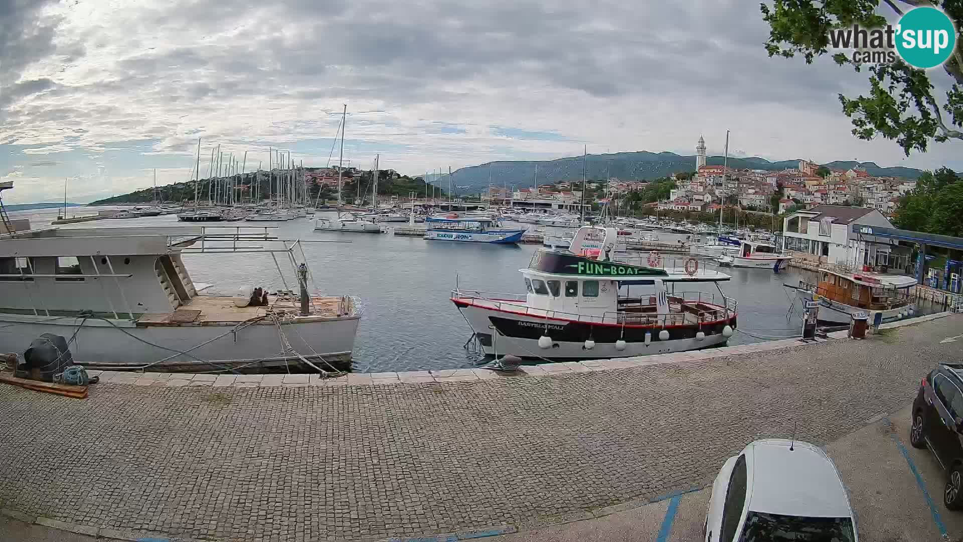 Webcam live – Novi Vinodolski harbour