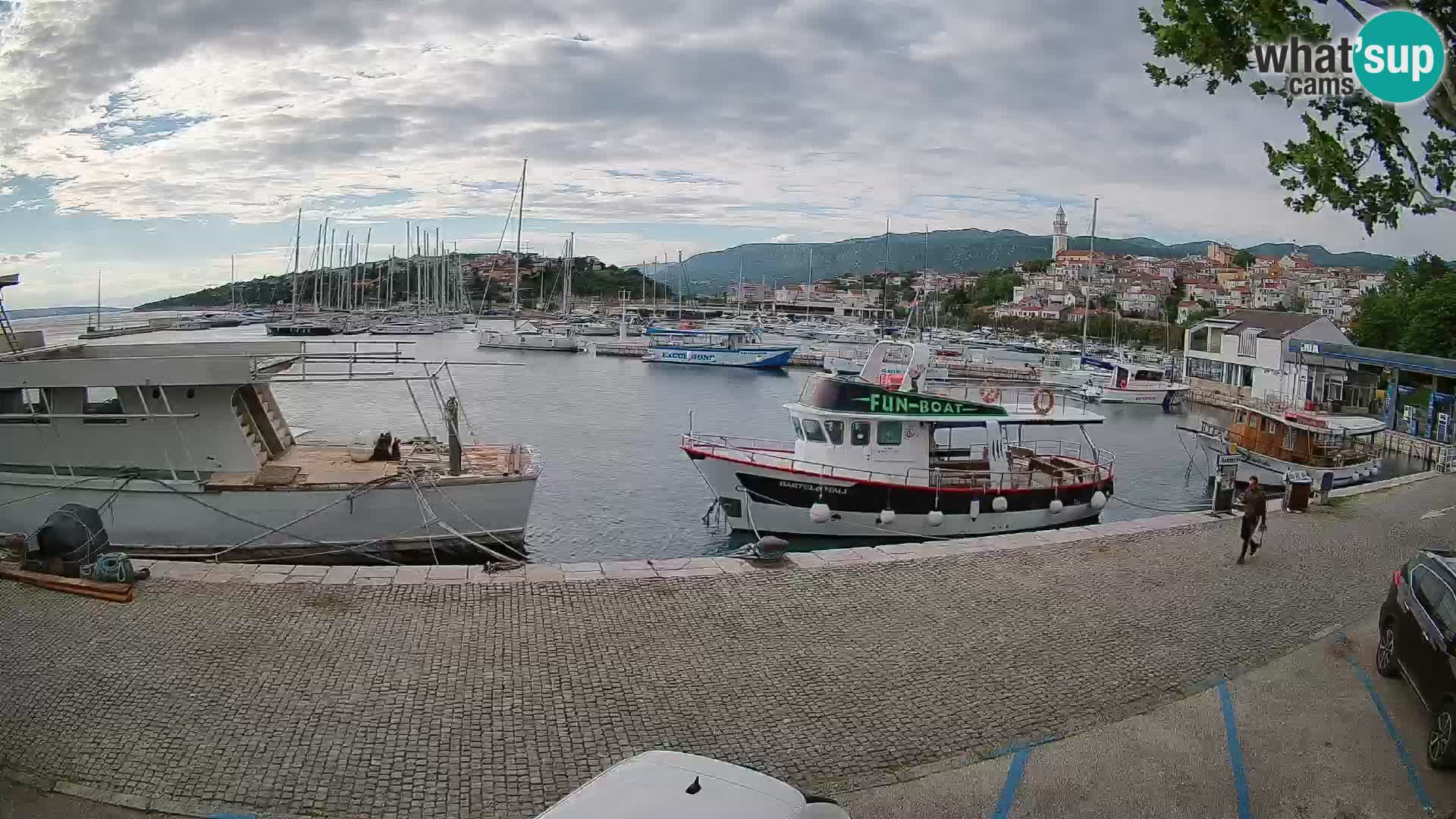 Webcam live – Novi Vinodolski harbour