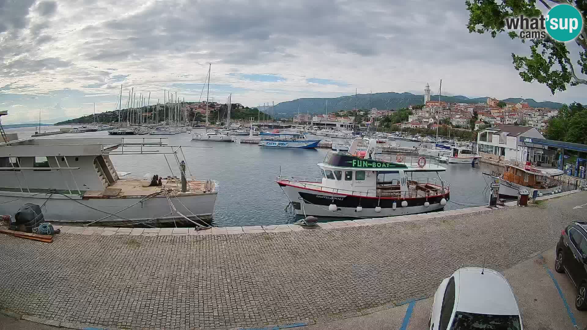 Webcam live – Novi Vinodolski harbour