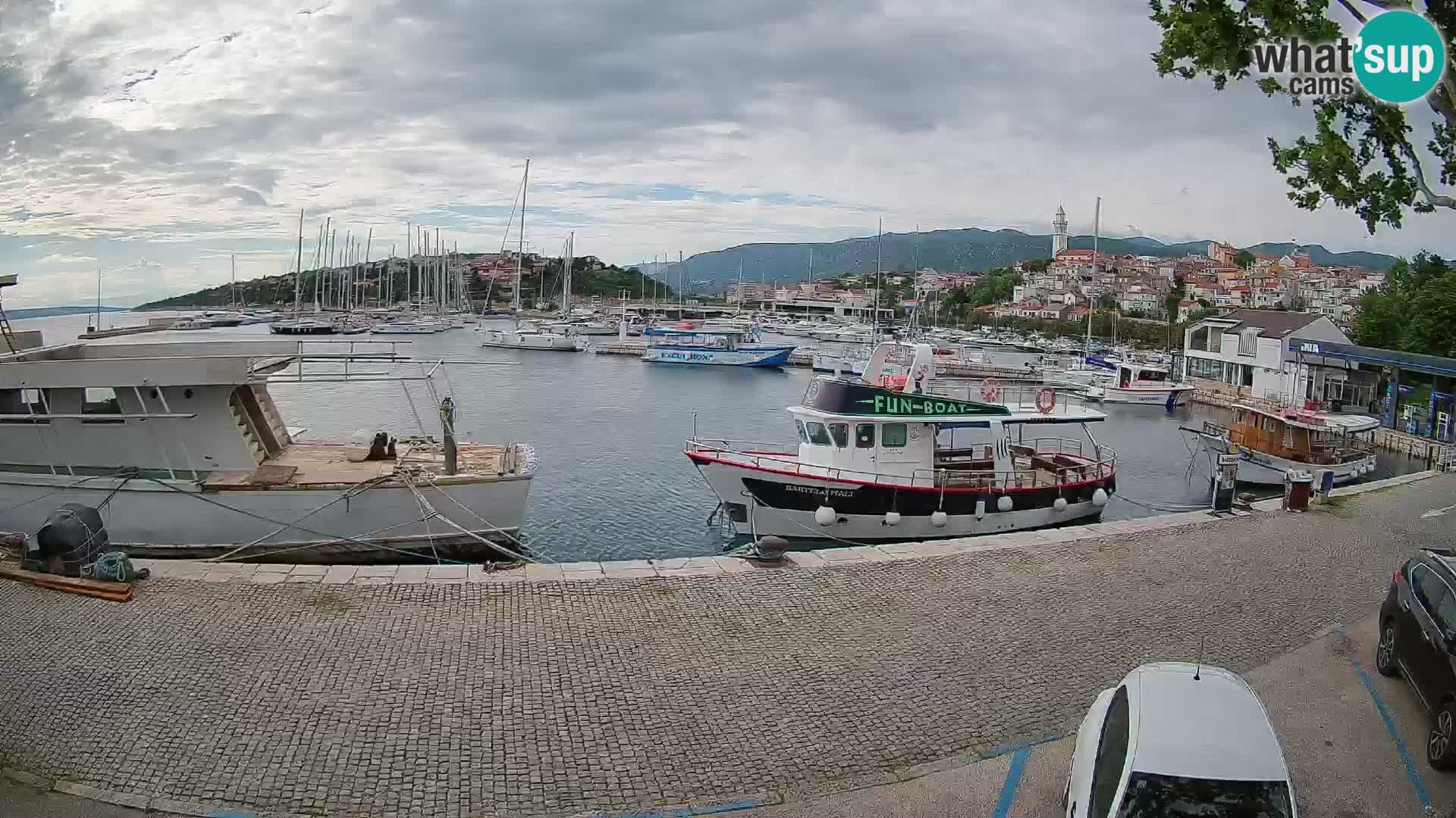 Webcam live – Novi Vinodolski harbour