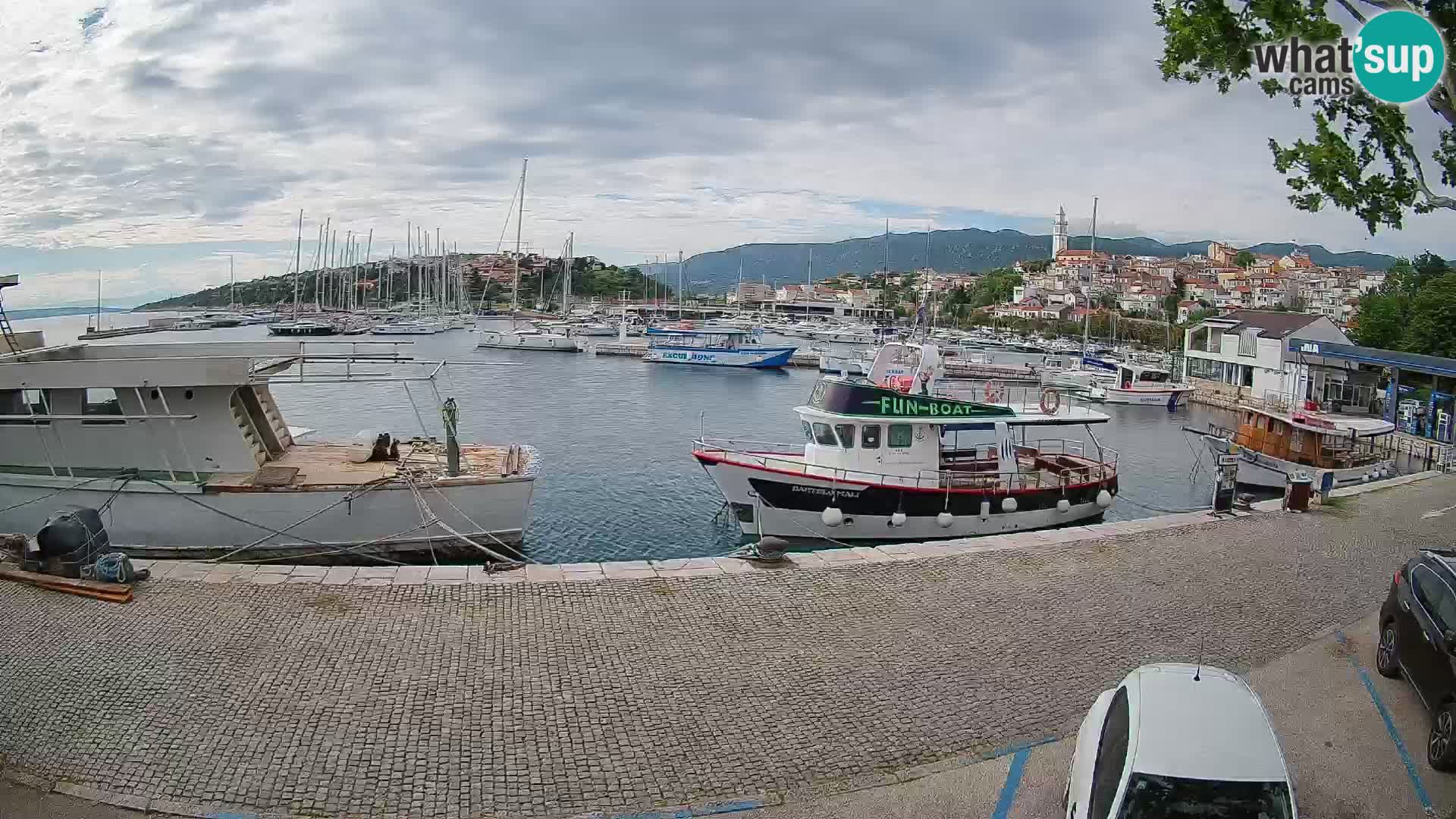 Webcam live – Novi Vinodolski harbour