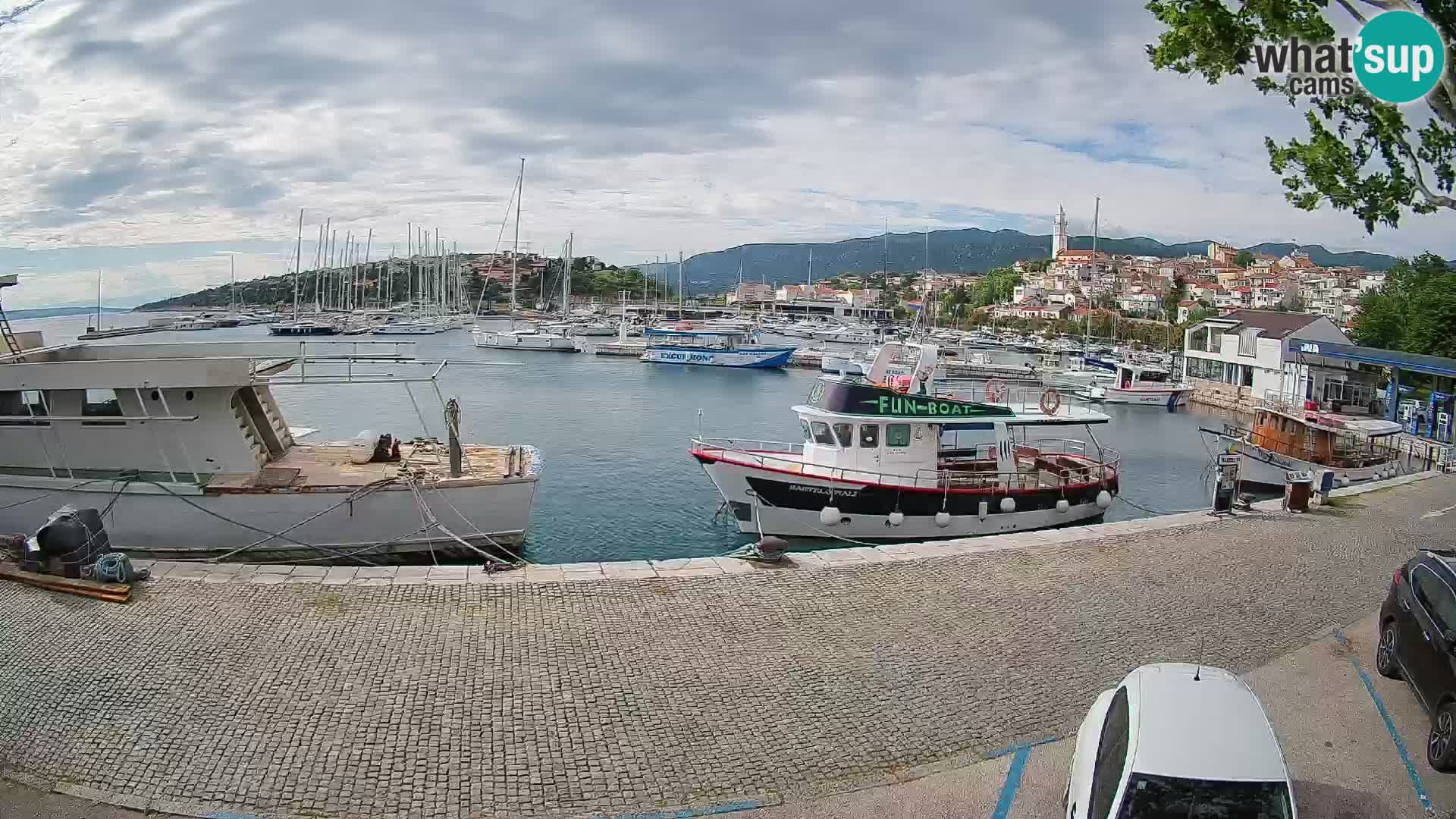 Webcam live – Novi Vinodolski harbour