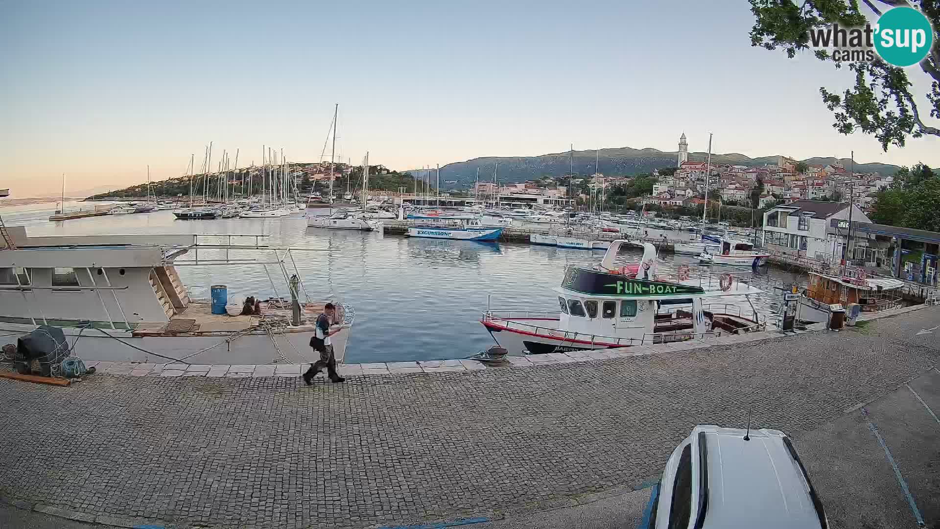 Webcam live – Novi Vinodolski harbour