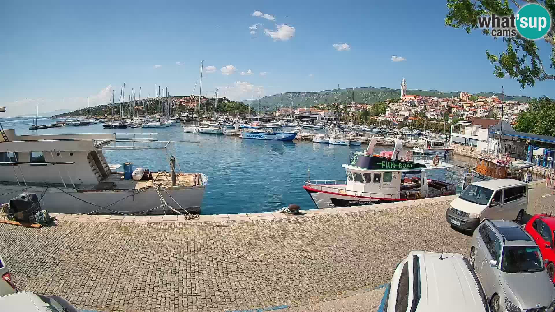 Webcam live – Novi Vinodolski harbour