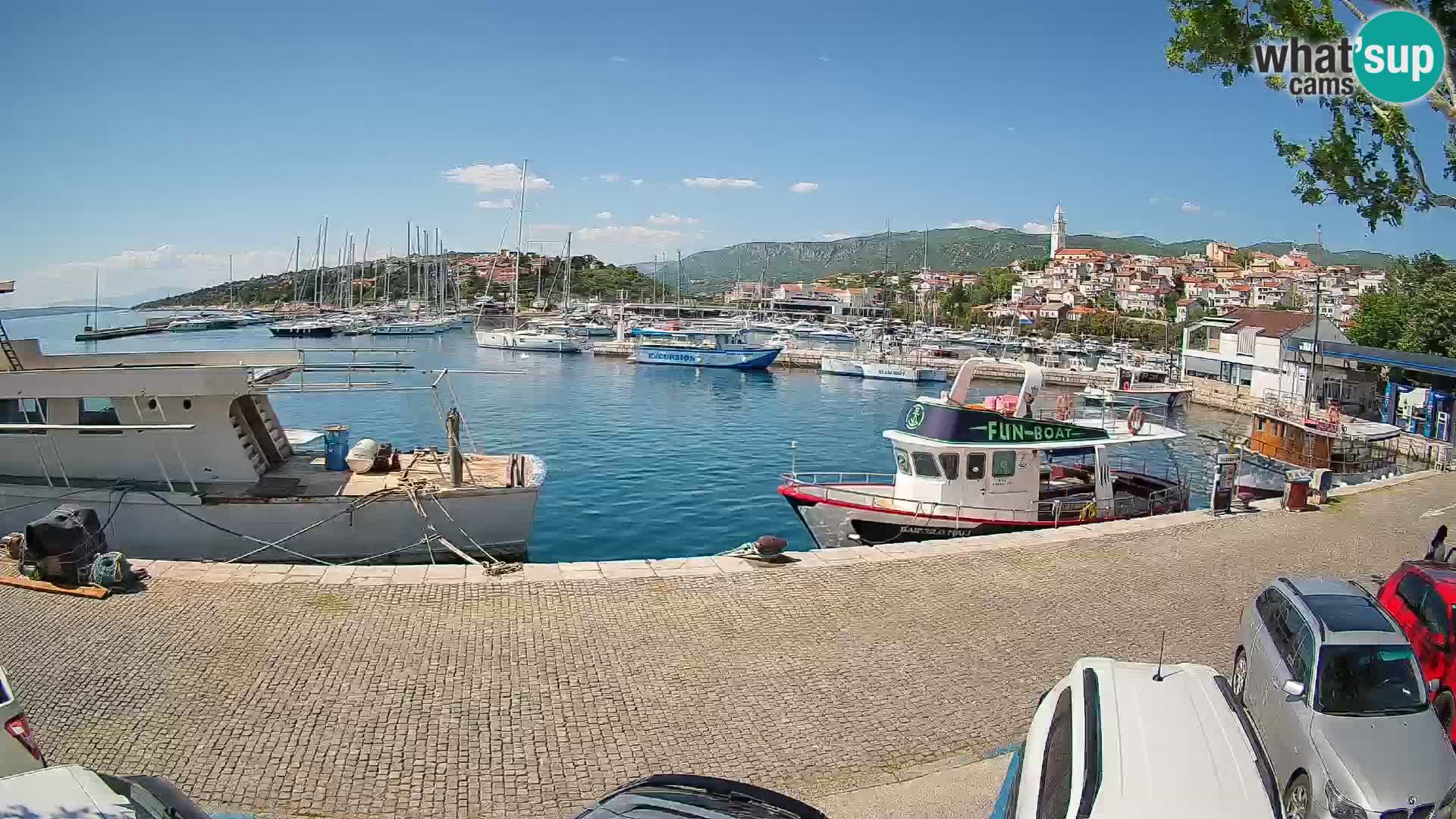Webcam live – Novi Vinodolski harbour