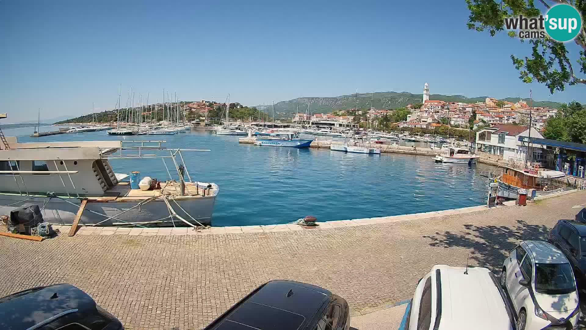 Webcam live – Novi Vinodolski harbour