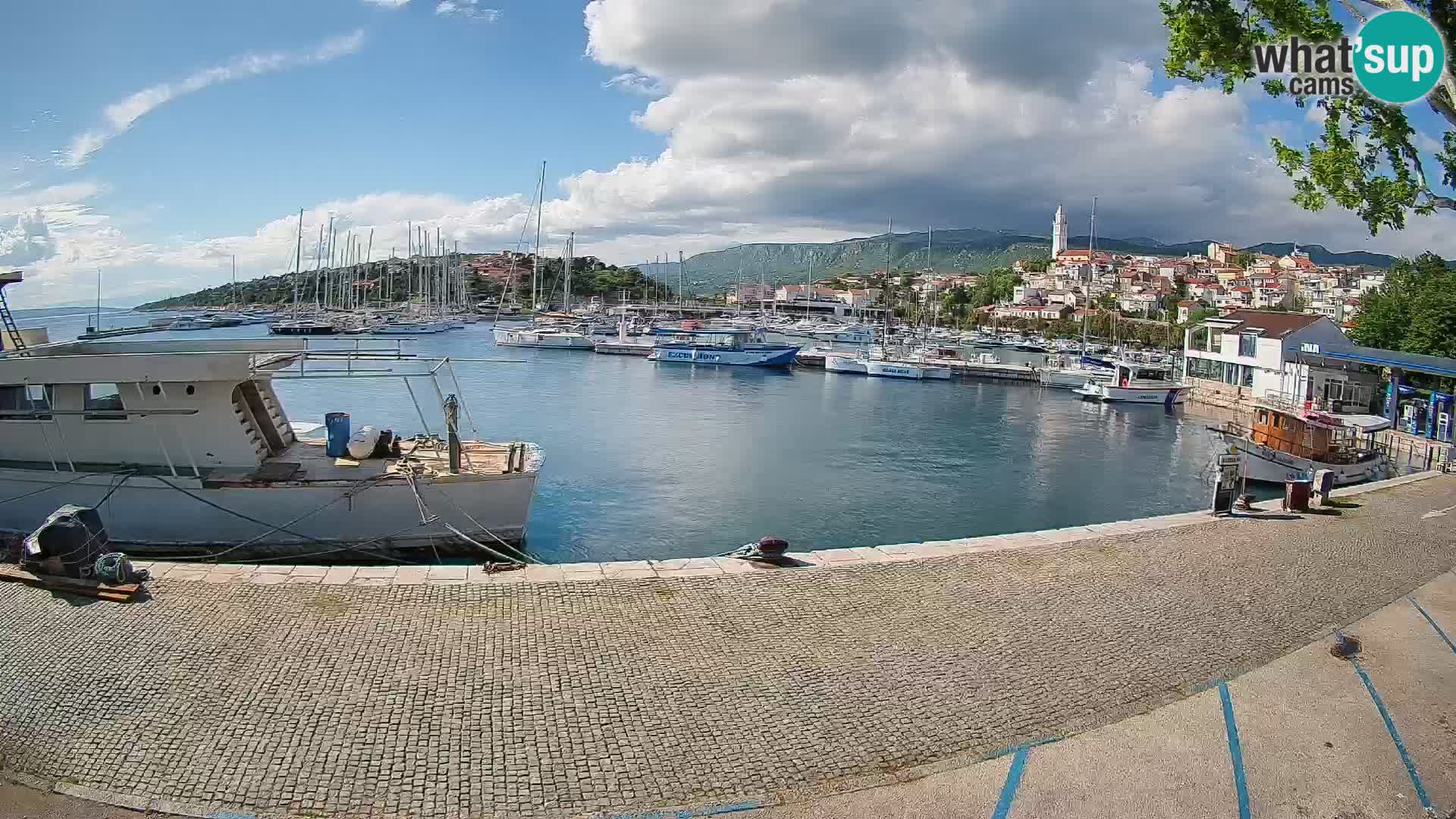 Webcam live – Novi Vinodolski harbour