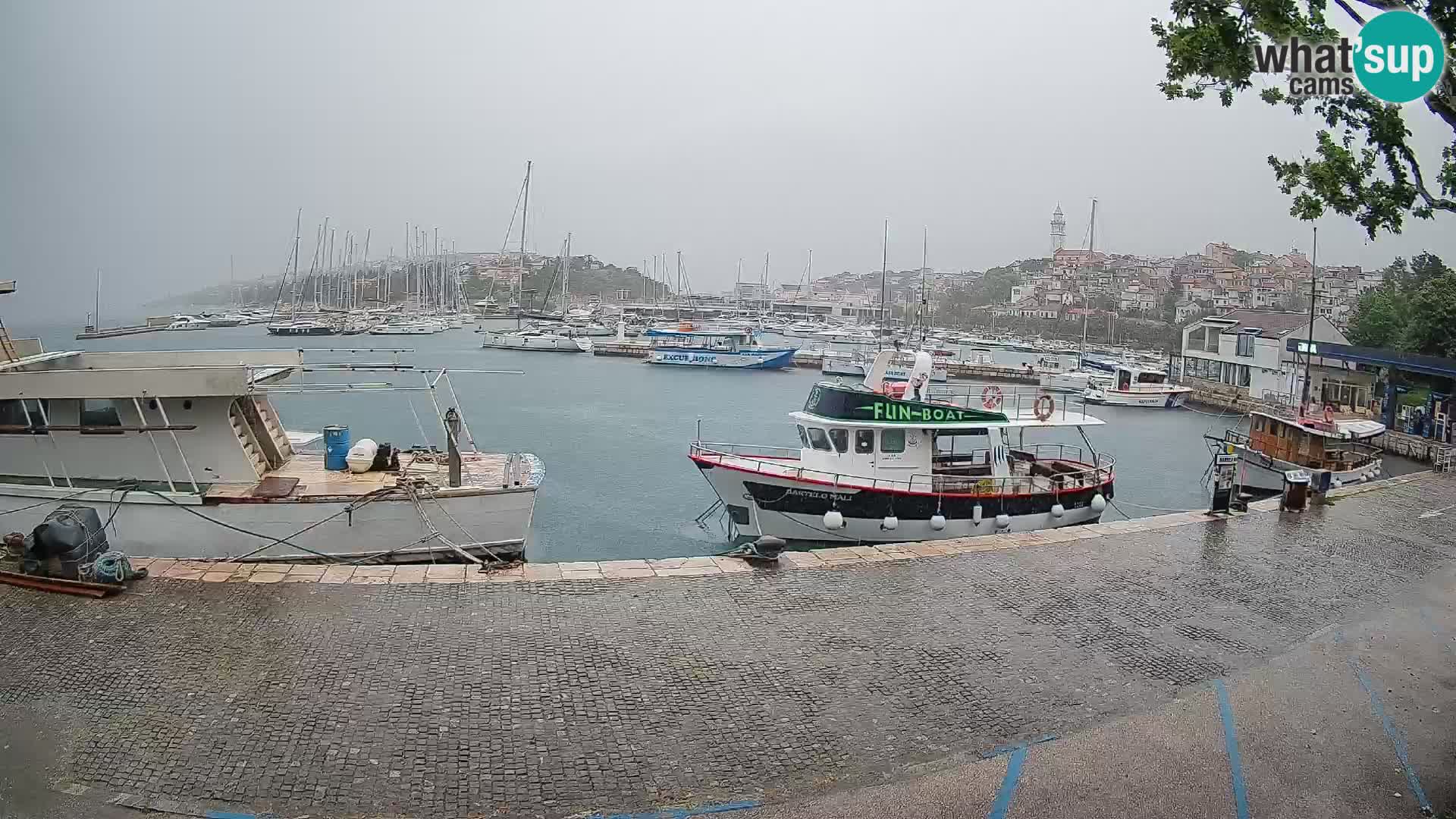 Webcam live – Novi Vinodolski harbour