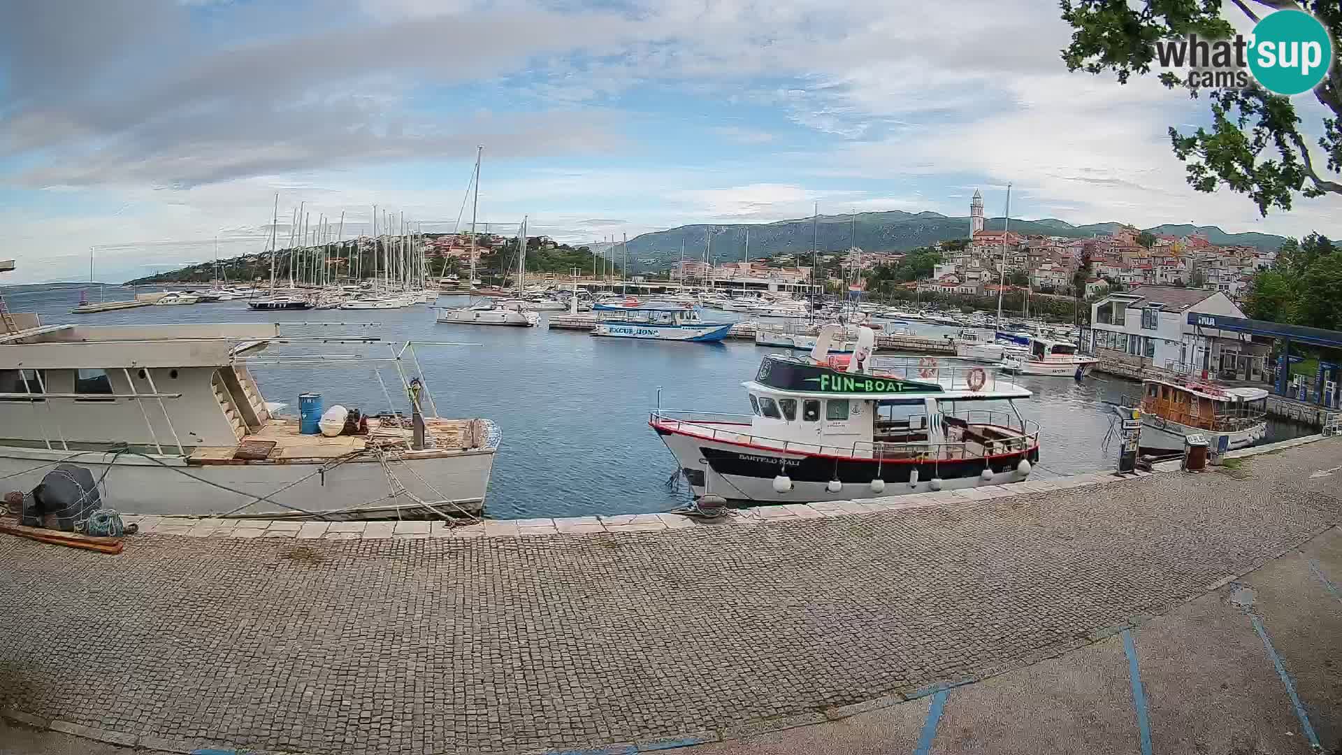 Webcam live – Novi Vinodolski harbour